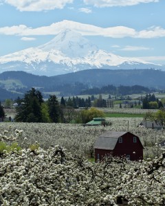 Hood River_4041-2