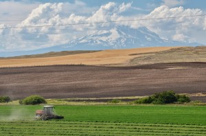 US-97 Yakama Scenic Byway-6669