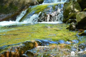 Wahclella Falls-7429