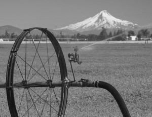 Mt Hood-Madras南部より-7600-BW