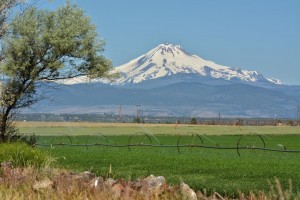 Mt Jefferson-Madras南部より-7553