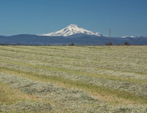 Mt Jefferson-Madras南部より-7639