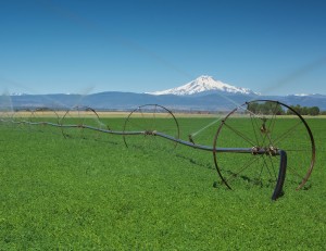 Mt Jefferson-Madras南部より-7633