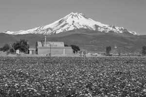 Mt Jefferson-Madras南部より-7549-BW