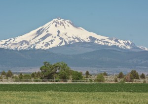 Mt Jefferson-Madras南部より-7661