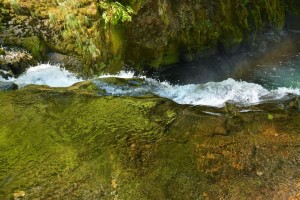 Punchbowl Falls-0853