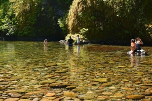 Punchbowl Falls-0856