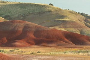 Painted Hills-9658