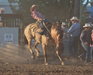 McMinnville Rodeo-Saddle Bronc Riding-4362