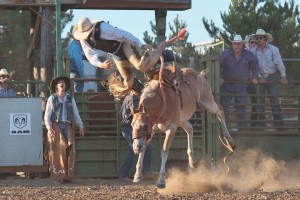 McMinnville Rodeo-Saddle Bronc Riding-4389