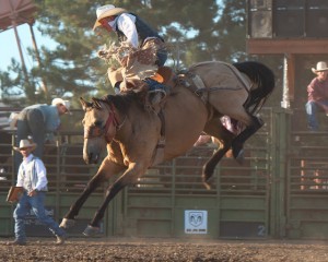 McMinnville Rodeo-Saddle Bronc Riding-4403