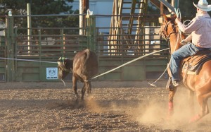 McMinnville Rodeo-Team Roping Heeler-4466