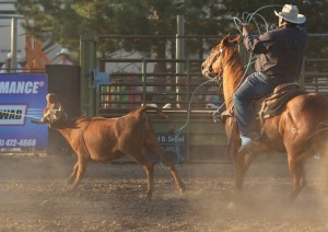 McMinnville Rodeo-Team Roping Heeler-4496