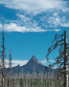 Mt Washington-Santiam Pass付近より-1978