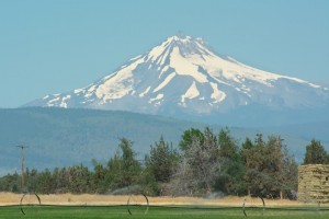 Mt Jefferson-Terrebonneより-2301