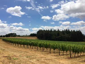 Enjoy Oregon wine!