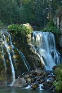 Mt Shasta - Middle McCloud Falls-5786