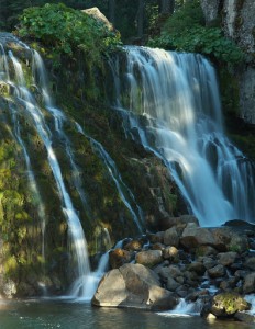 Mt Shasta - Middle McCloud Falls-5809-1