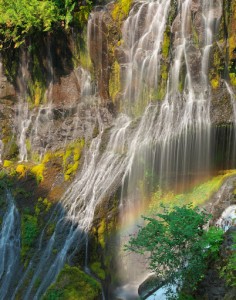 Panther Creek Falls-5448
