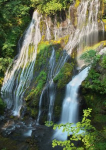 Panther Creek Falls-5450