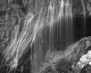 Panther Creek Falls-5462-BW