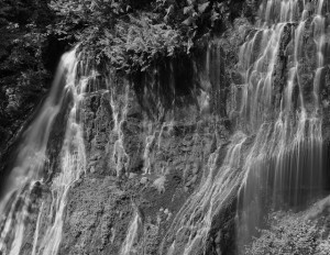 Panther Creek Falls-5481-BW