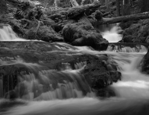 Panther Creek Falls-5514-BW