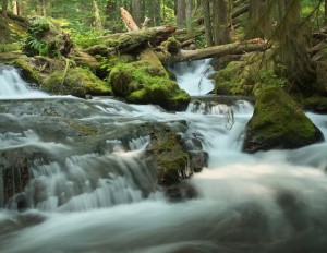 Panther Creek Falls-5517