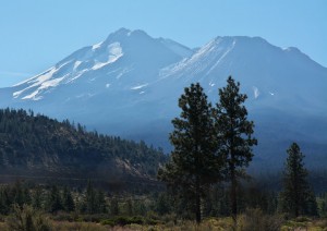 Mt Shasta - Hwy 97より-6263