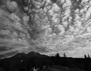 Mt Shasta - Best Western Hotelより-5863-BW-Letter