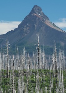 Mt Washington-Santiam Pass付近より-1959