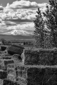 culvermt-jefferson-2528-bw_26834146651_o