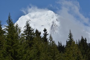 mt-hood-snow-bunny-snow-park-2383_26834155181_o