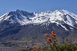 mt-st-helens-viewed-from-johnston-ridge-5751_27835022311_o