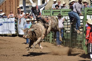 spray-rodeo-bull-riding-5284_27416030691_o