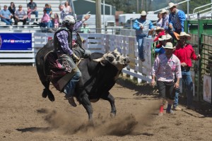 tillamook-rodeo--2016-8154_27952831035_o