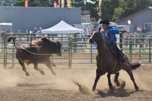 new-port-lincoln-county-fair-rodeo-bull-ride-0100_29215989495_o