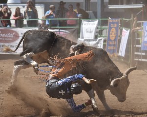 new-port-lincoln-county-fair-rodeo-bull-ride-0129-1_29215989925_o