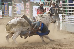 new-port-lincoln-county-fair-rodeo-bull-ride-0295_28927911780_o