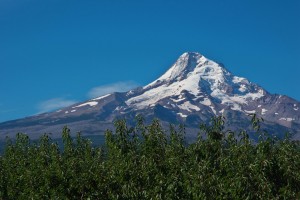 mt-hood-parkdale-3340-1_29629756451_o