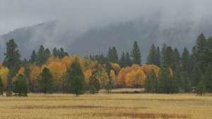 conboy-lake-national-wildlife-refuge-3525_30091372873_o