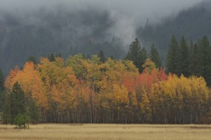 conboy-lake-national-wildlife-refuge-3531_30093921704_o