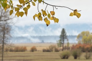 conboy-lake-national-wildlife-refuge-3631-2_30609518252_o