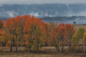 conboy-lake-national-wildlife-refuge-3662_30609518732_o