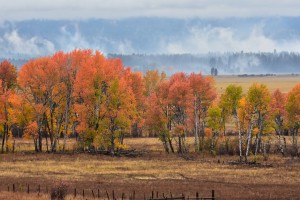 conboy-lake-national-wildlife-refuge-3669_30609519042_o