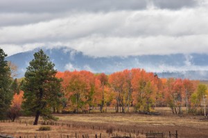 conboy-lake-national-wildlife-refuge-3695_30609519462_o