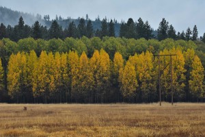 conboy-lake-national-wildlife-refuge-3735_30609520292_o