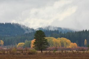 conboy-lake-national-wildlife-refuge-3797_30609522352_o